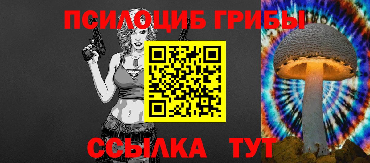 Галлюциногенные грибы Psilocybine cubensis  Галлюциногенные грибы мицелий  Вход с VPN  Куйбышев 